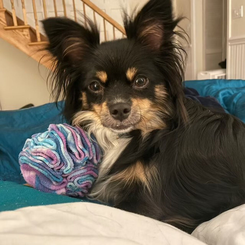 Chronic Pet Dog Toy Ball Interactive Puzzle