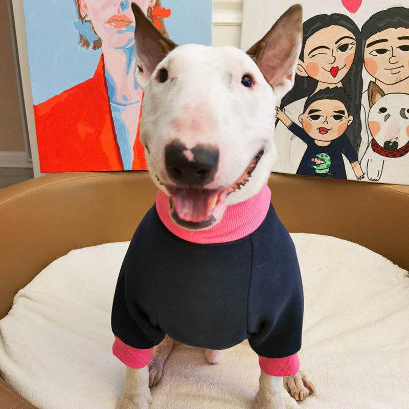 Warm Fluorescent Contrast Sweater