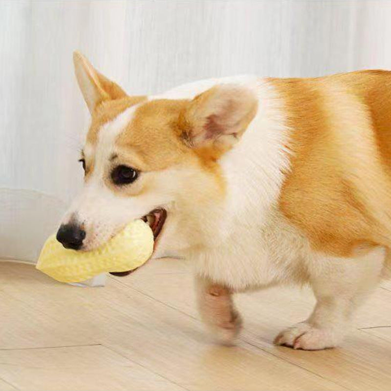Dog Chewing Toy