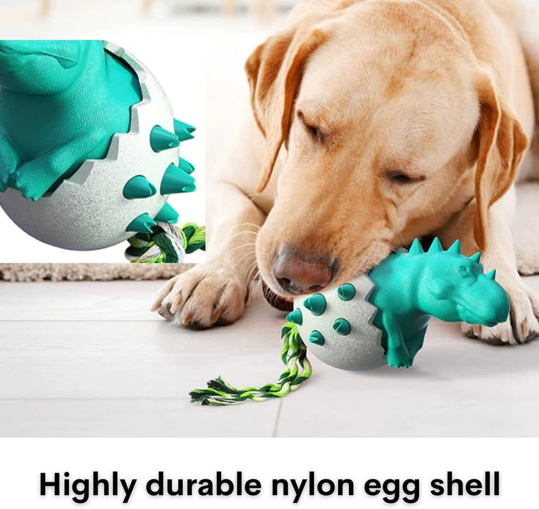 Durable Rubber Chew Pet Toy