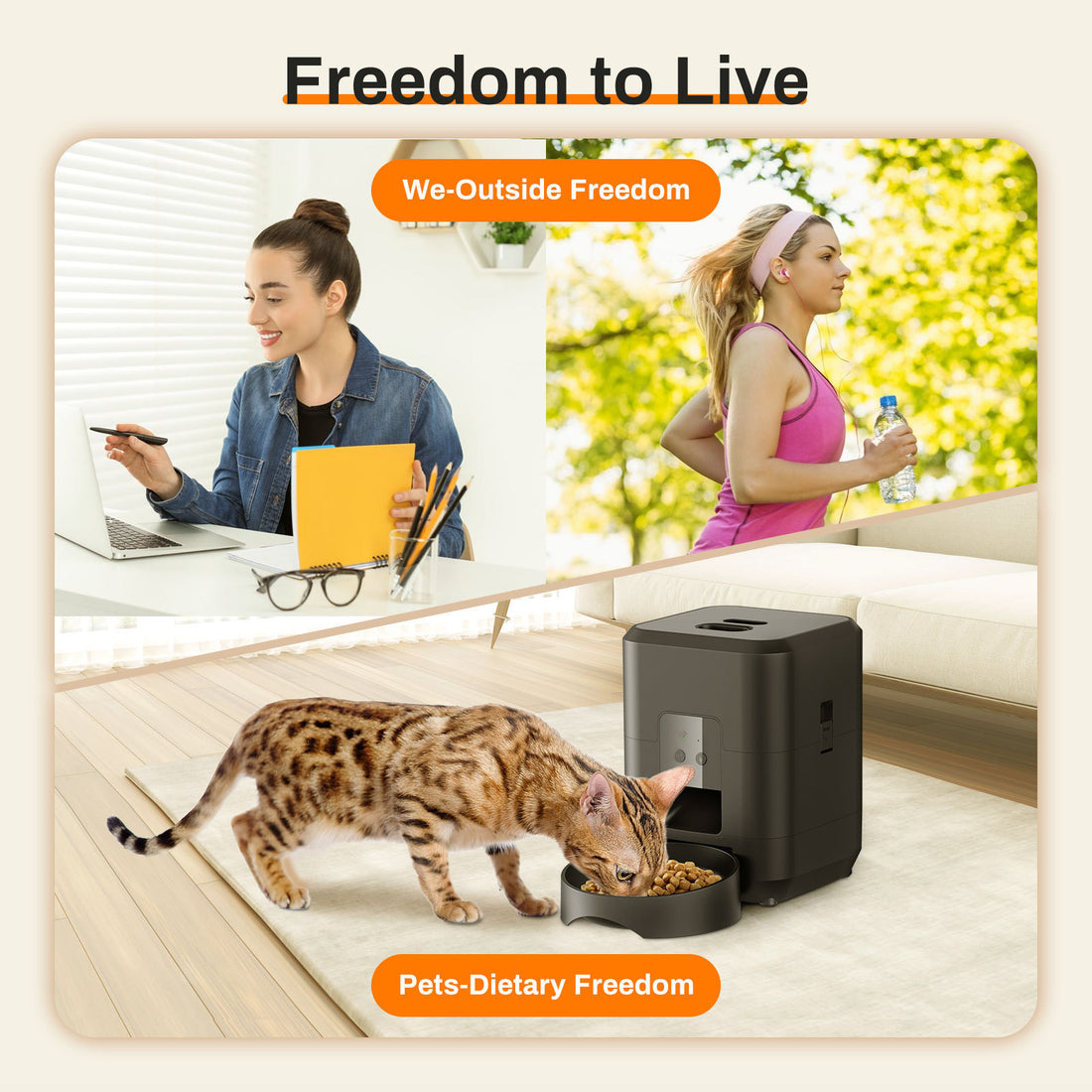 Pet Intelligent Timing Automatic Pet Feeder