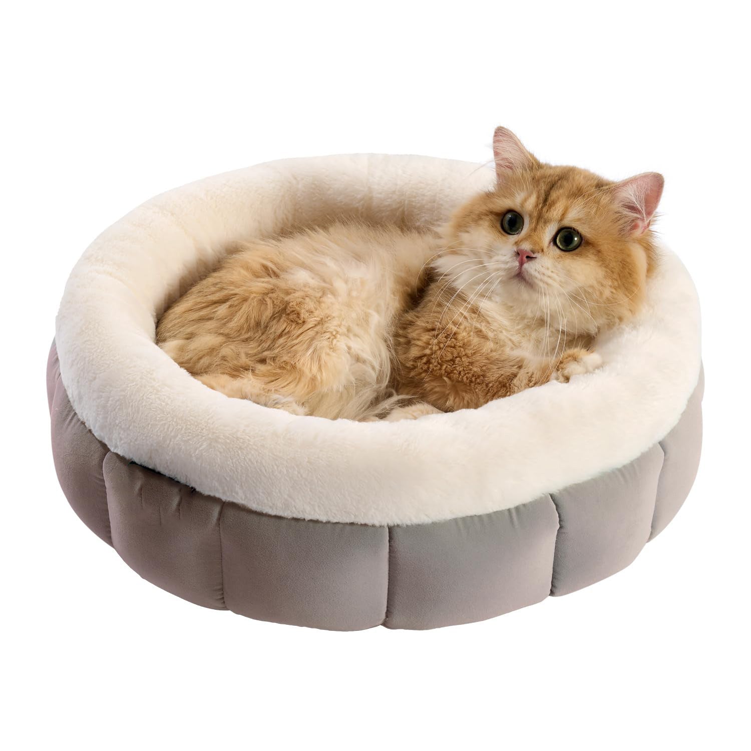 Round Cat Beds For Indoor Cats