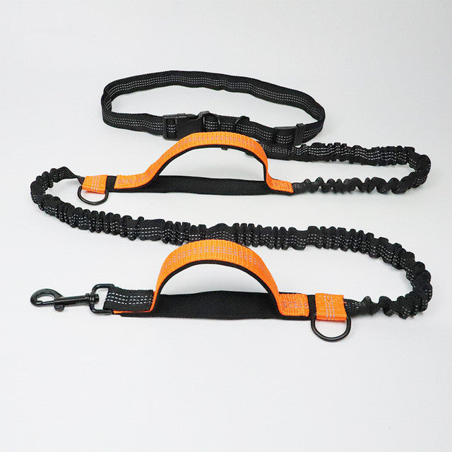Adjustable Pet Leash