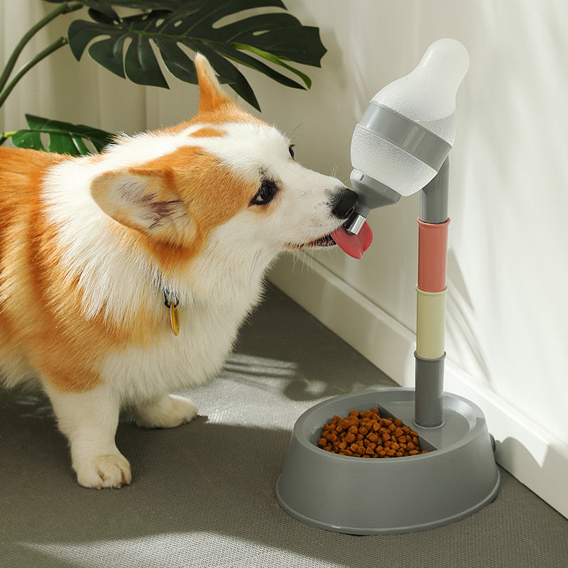 Pet Feeding Standing Bowl